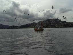 Norwegen 2008 Rundereim